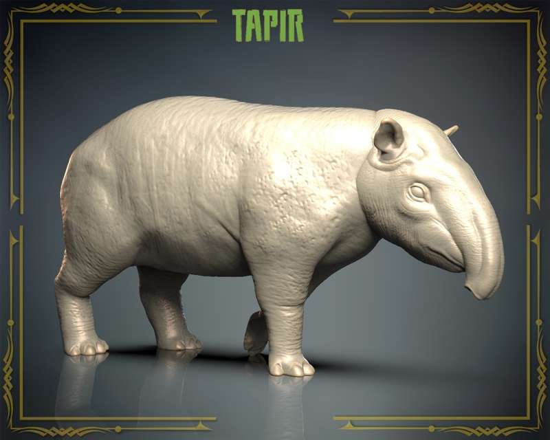 Animals Set 3 - Tapir