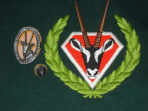 SADF 8 SAI PERSERVATE ET SUPERATE (SWATF) SWA TERRITORIAL FORCES BLAZER BADGE
