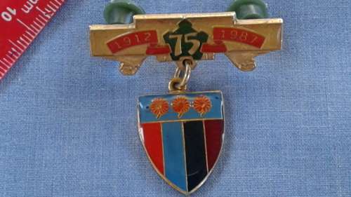 SADF - SA ARMY  NTVL 75 YEARS PIN-BADGE