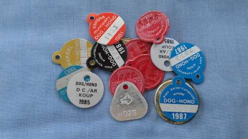 Dog Licences - Mix Lot