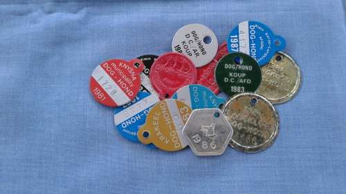 Dog Licences - Mix Lot