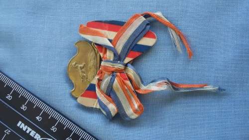 Medal Bar with Springbok and Lint
