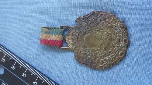 Medal - Edward VI Crowned 1902 Africa / Australia / Canada / India (Rare Item)