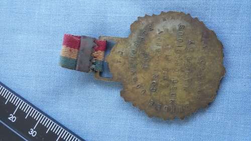 Medal - Edward VI Crowned 1902 Africa / Australia / Canada / India (Rare Item)