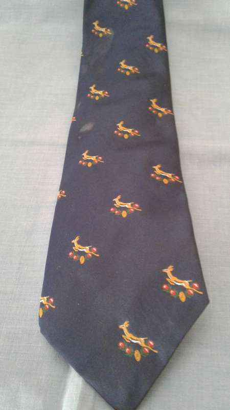 Rugby Tie - Springbok  (1992 - 1996 Era)