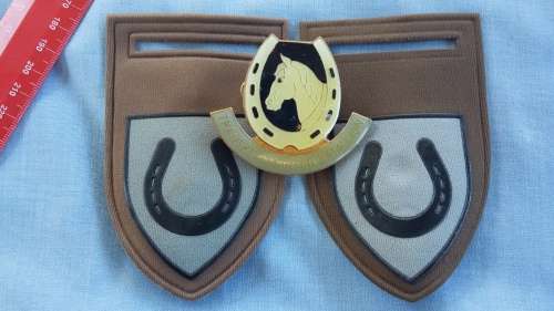 SADF - TRANSKEI DEFENCE FORCE SHOULDER FLASHES SET + BERET BADGE - MOUNTAIN BATTALION