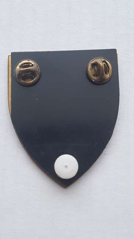 SADF - SA MILITARY SHOULDER FLASH -  2 FIELD ENGINEERS + PINS