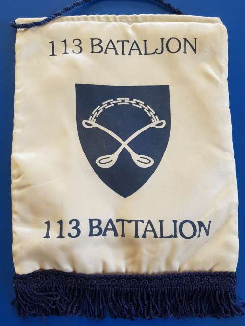 SADF - SA MILITARY  113 BATTALION PENNANT