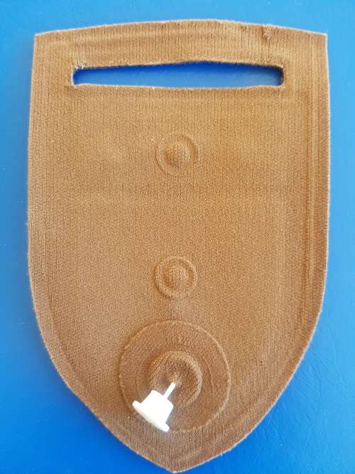 SADF - SA MILITARY SHOULDER FLASH  + PIN