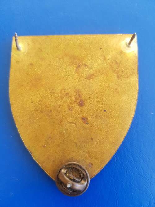 SADF - SA MILITARY E.P. SHOULDER FLASH  + PINS