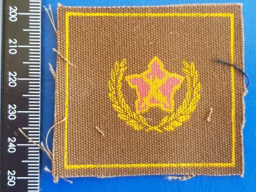 SADF - SA MILITARY SPRINGBOK 5 YEARS VOLANTEER SERVICE BADGE