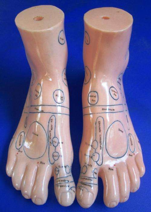 ONE PAIR OF 17cm REFLEXOLOGY FOOT MODELS, LEFT & RIGHT, with MARKINGS for MAJOR ORGANS.