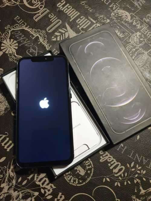iPhone 12 Pro Max