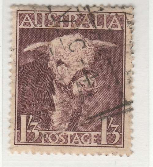 AUSTRALIA HEREFORD BULL 1948