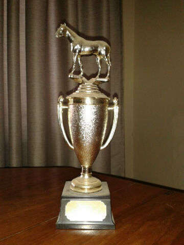Horse Riding Trophy