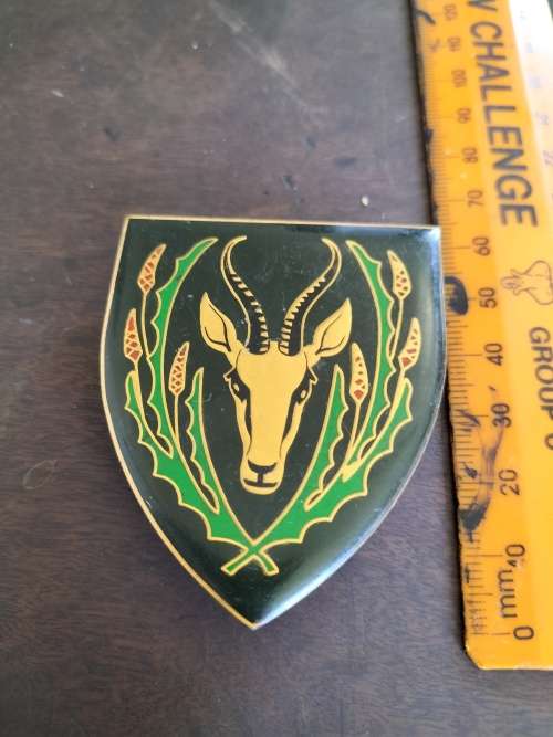 SADF 5 SAI Flash
