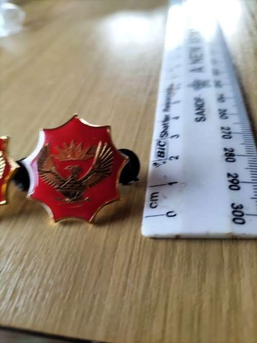 SANDF Badge Set