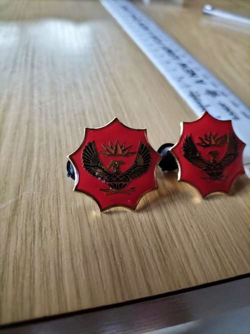 SANDF Badge Set