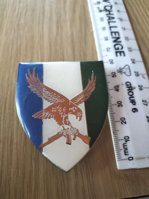 SWA 101 Battalion Recce Company Flash