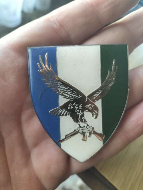 SWA 101 Battalion Recce Company Flash