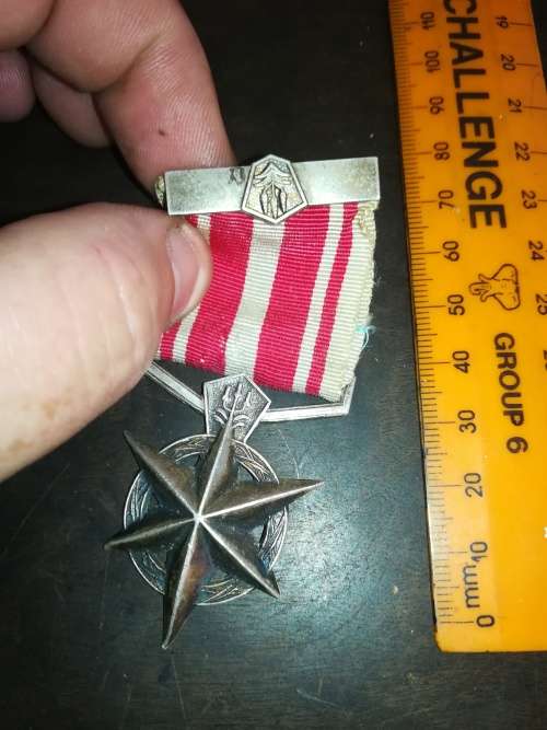 Old SAP Medal Group