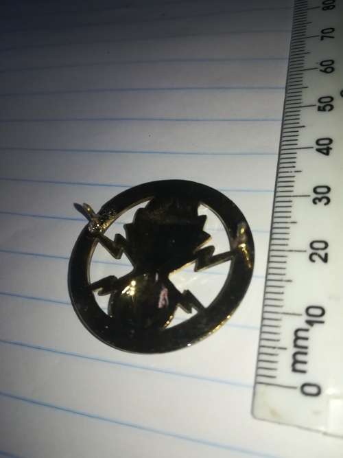 SA Army Improvised Explosive Device Disposal Badge (IEDD)