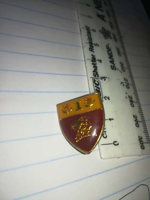 SADF Regiment De La Rey Cravat Pin