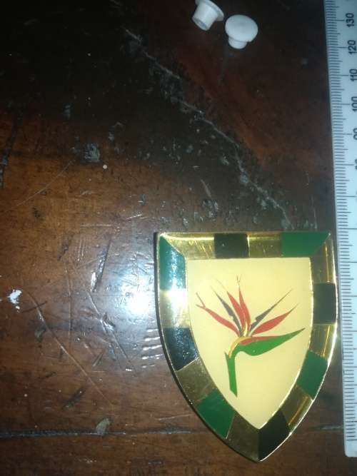 SADF 6 SAI Shoulder Flash