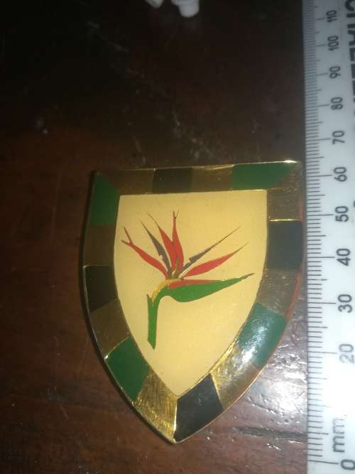 SADF 6 SAI Shoulder Flash