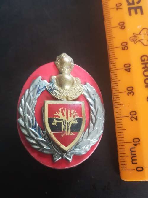 SADF 10 Engineer Squadron Cap Badge