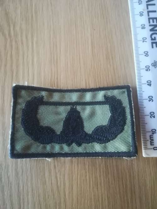 SANDF Air Assault Badge