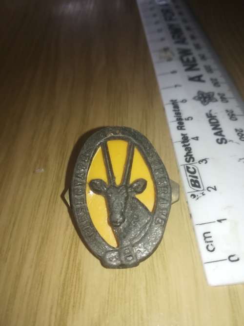 SADF 8 SAI Beret Badge