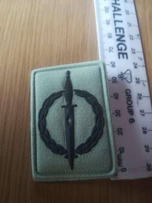 SANDF Special Forces Operator Badge for 10 Year Service