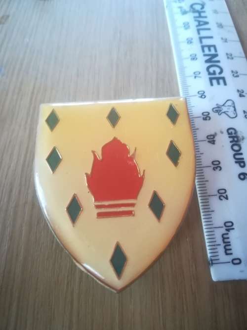 SADF 1 Special Training Unit Flash
