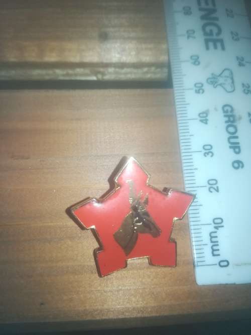 SA Army Senior Sergeant Major Collar Badge