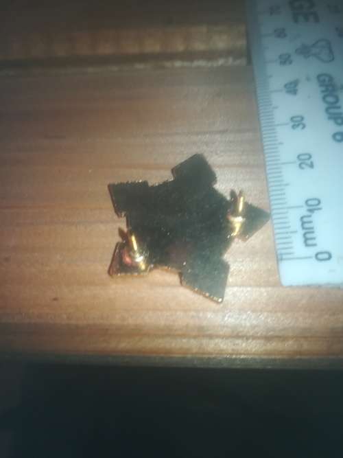 SA Army Senior Sergeant Major Collar Badge