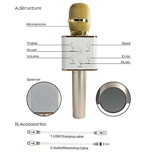 Karaoke Microphone