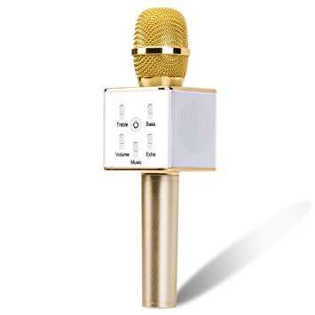 Karaoke Microphone