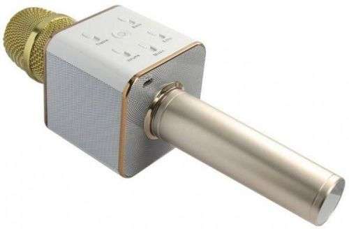 Karaoke Microphone