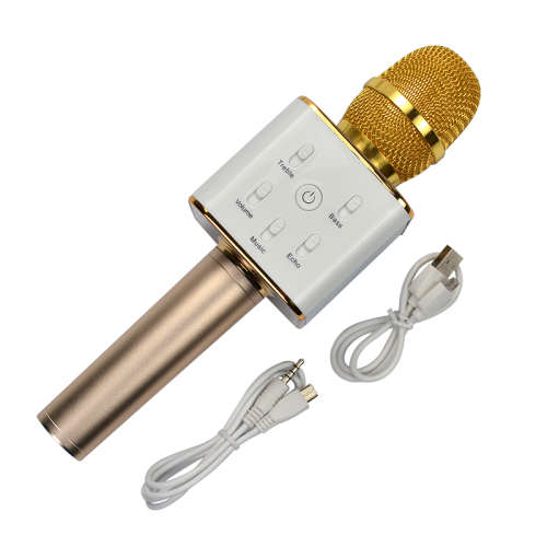 Karaoke Microphone