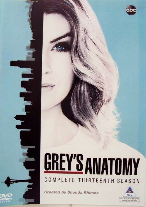 GREY'S ANATOMY complete thirteenth season  (I bought this new, watched once, good cond)