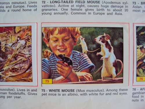 MAMMALS 1978 Vintage Panini Sticker album Complete firmly bound soft cover booklet