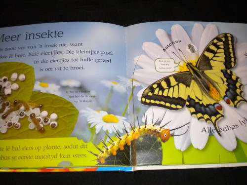 Loergaatjie boeke