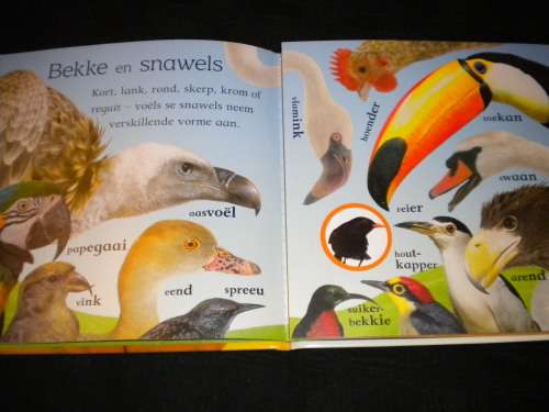 Loergaatjie boeke