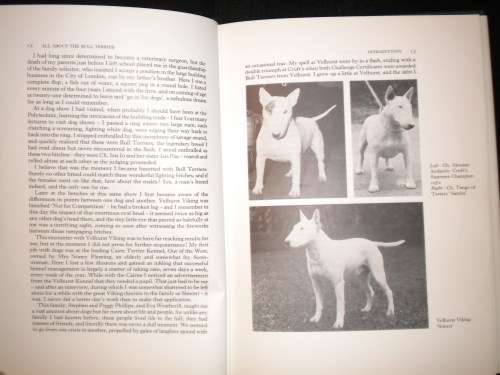 All about the Bull Terrier