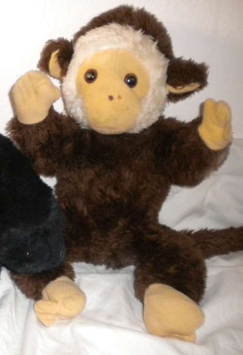 Brown Monkey