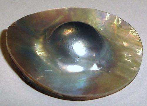 MARYKAY - MARYKAY - OPULENT 34mm MABE PEARL PENDANT/RING/BROOCH