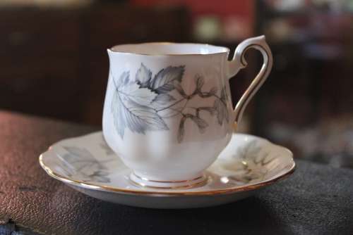 Royal Albert Silver Maple Duo