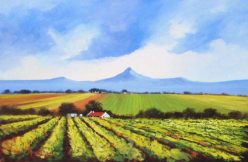 Vineyards (600mm x 900mm)