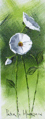 White flowers (400mm x 150mm)